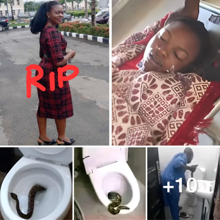 Nigerian Lady diies after snake bite her when she sat to unrinate in her toilet (video)