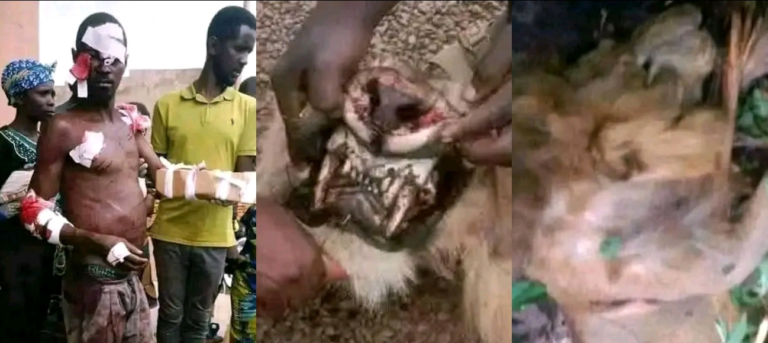 Nigerian Man uses only his Hands to Fight and kkill A Lion that a-ttacked him in his farm (Video)