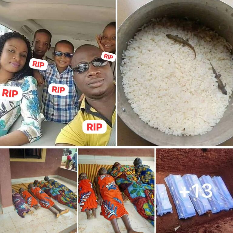 Nigerian Man and his entire Family all d..ied after eating rice that wall gecko fell inside (Video)