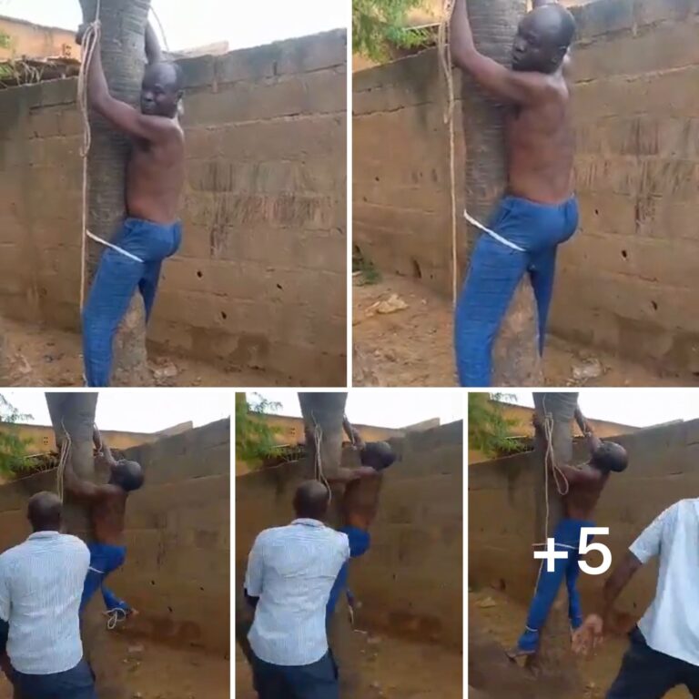 Brother’s tie’s Thier sisters husband to tree, flog him for constantly bëatlng their sister (Video) ‎
