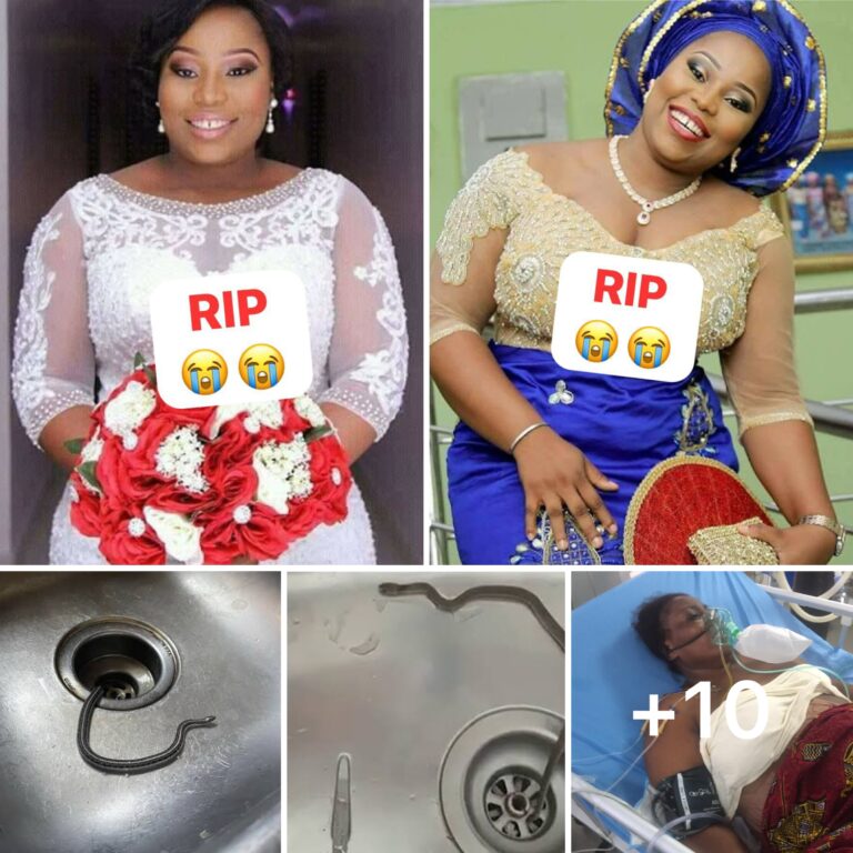 Pregnant Newly Married Lady d!£d this morning after a black snake b!tes her while cooking in her kitchen (Photos)