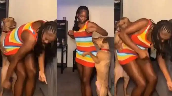 South African Girl Plays With Her Dog