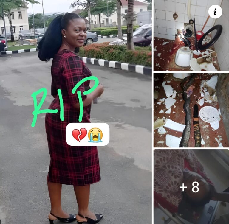 Nigerian Woman ddies After A Snake Bite Her While Using Her Toilet At Home (Photos)