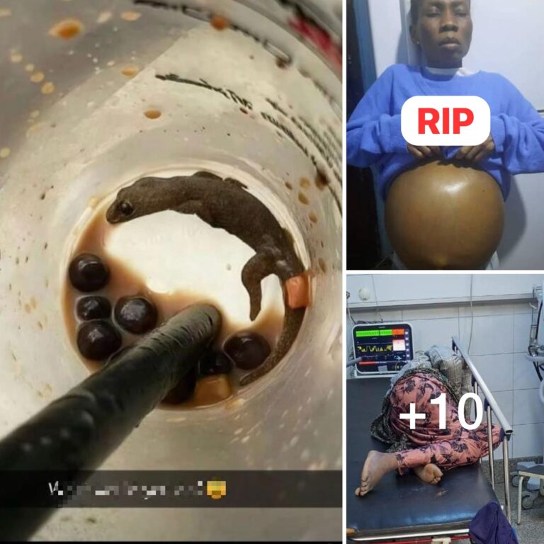 Nigerian lady d..ies after drinking smoothie that wall gecko d..ied inside (Video)