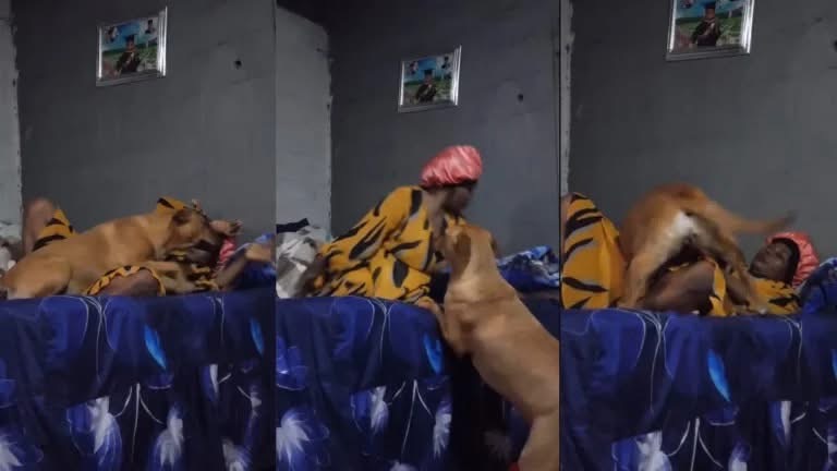 The woman with dog video